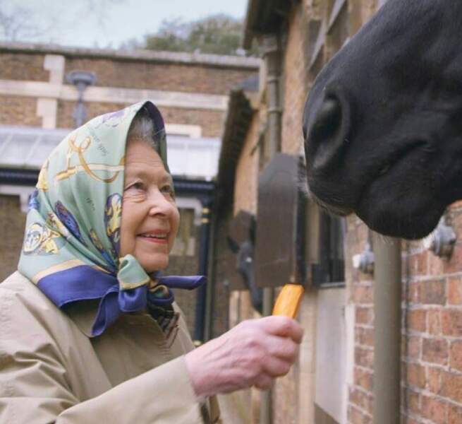 La reine Elisabeth II à elle aussi des chiens, et elle a dore les chevaux