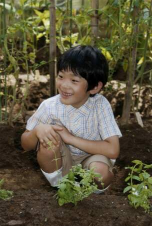 Le prince Hisahito du Japon, alors âgé de 8 ans, pose dans les jardins de la résidence familiale à Tokyo en 2014