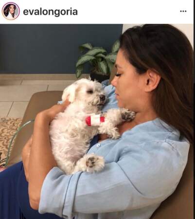 Eva Longoria et son chien Jinxy
