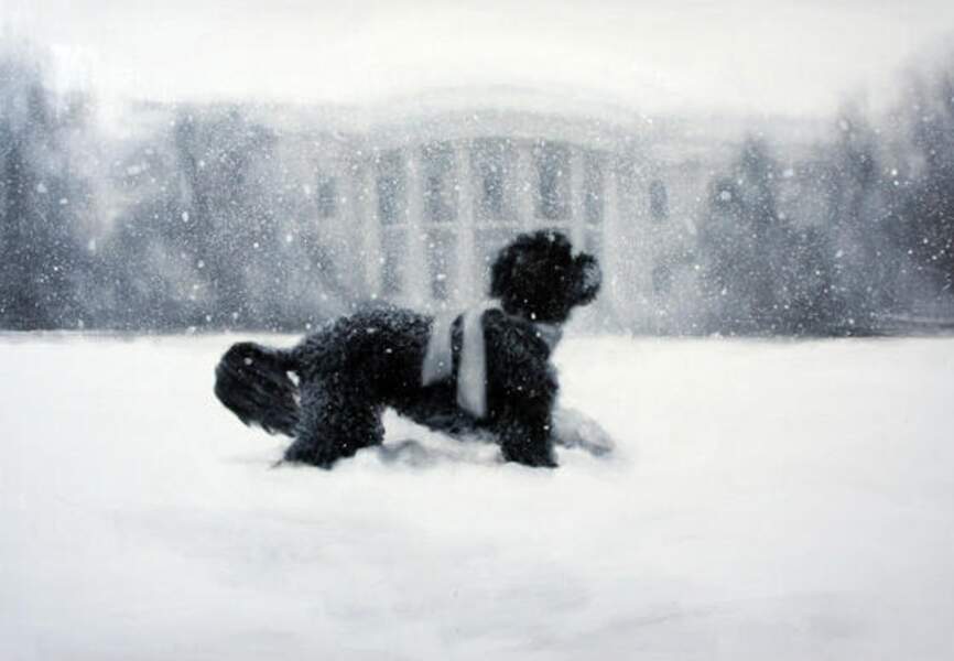 Le chien des Obama sous la neige