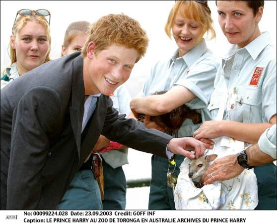 Le prince Harry visite le zoo de Toronga en Australie, en 2003