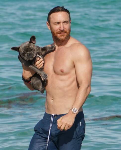 David Guetta tout en muscles à la plage à Miami le 19 novembre 2018