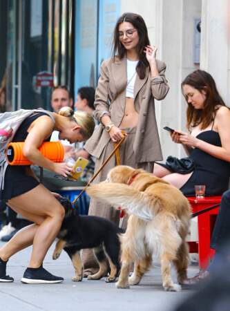 Emily Ratajkowski a été aperçue à New York ce lundi 3 juin, alors qu'elle promenait son chien
