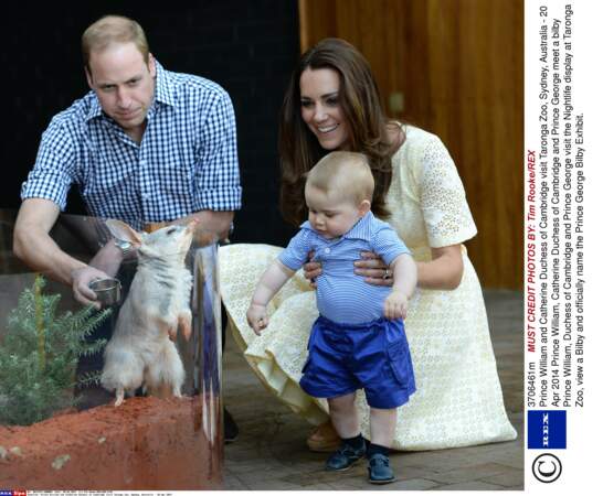Prince George, au zoo Taronga de Sidney (le 20 avril 2014)
