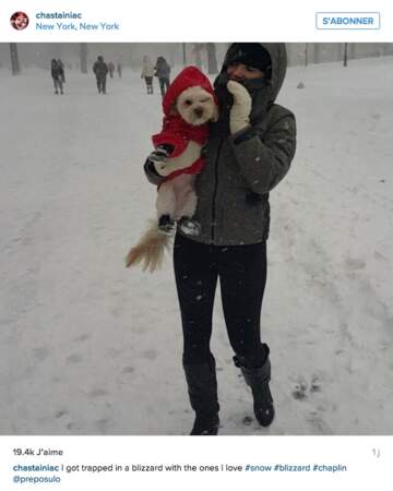 Jessica Chastain et son amoureux Gian Luca offrent une promenade à leur chien... même en plein blizzard