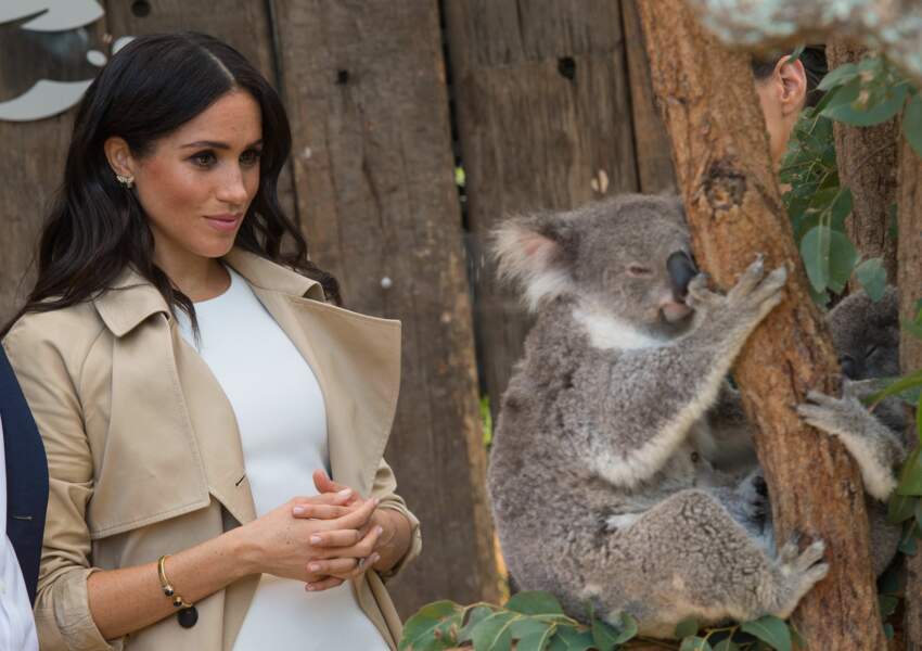 Meghan Markle, enceinte, au Zoo de Taronga, à Sydney, le 16 octobre 2018