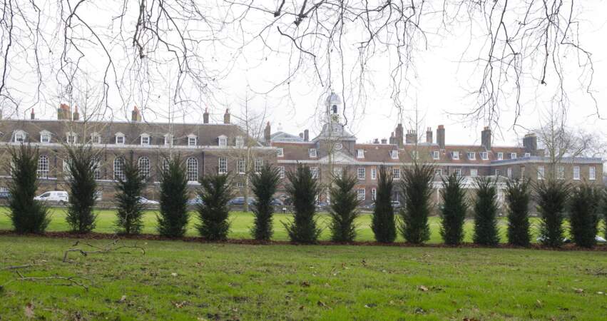 Les arbres constituent un mur végétal à Kensington Palace.