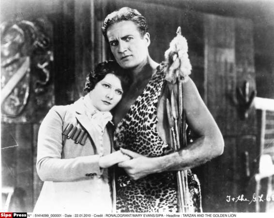 En 1927, James Pierce reprend le flambeau dans Tarzan et le lion d'or de Jhn P.Mac Gowan