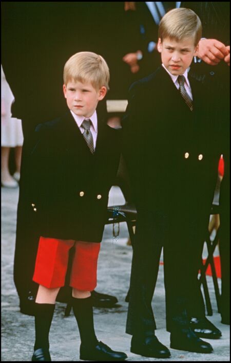 Très élégants en costumes et cravates, Harry et William assistent à la cérémonie "Beating the Retreat" en 1989