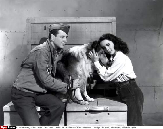 Tom Drake, Lassie, et Elizabeth Taylor