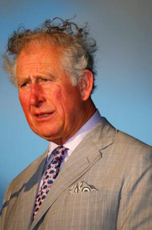 Le vent et l'humidité ont eu raison de la coupe de cheveux du prince Charles lors de son discours à Sainte-Lucie