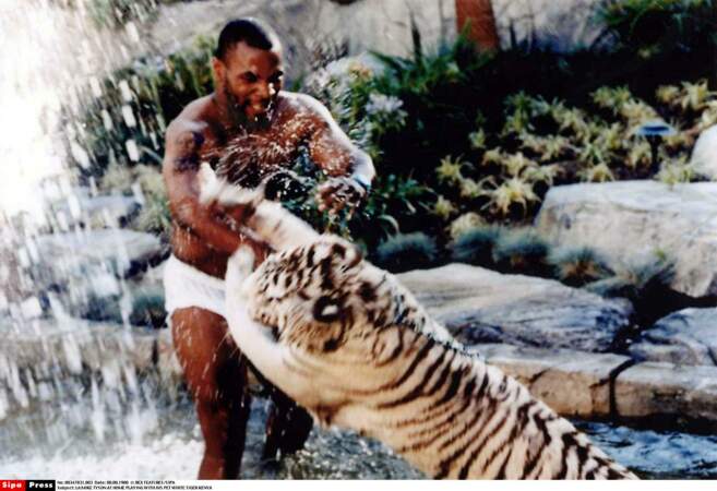 Mike Tyson et son tigre blanc du Bengale
