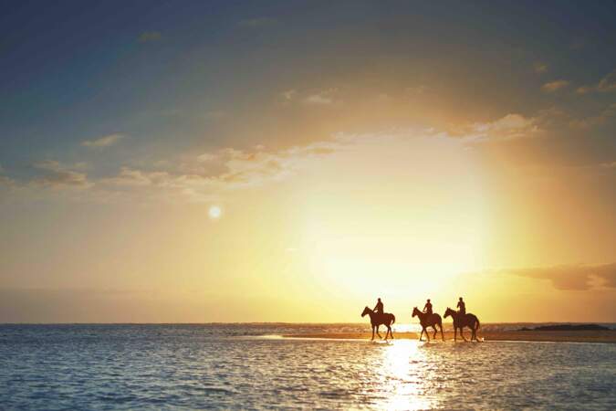 De la plage du LUX* Belle Mare à l'île Maurice, des randonnées à cheval sont organisées.