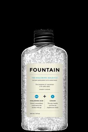 The Hyaluronic Molecule, Foutain, 40 €