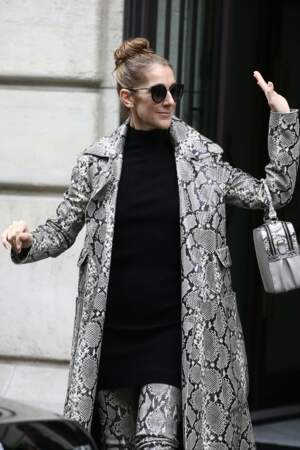 Un bun haut, un sac couture porté main, des cuissardes et un manteau en python, Céline Dion enflamme Paris