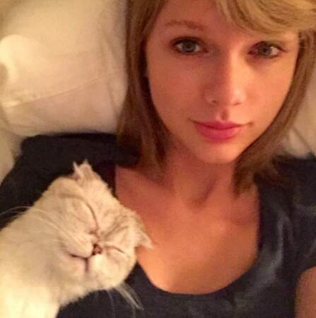 Taylor Swift et le chat...