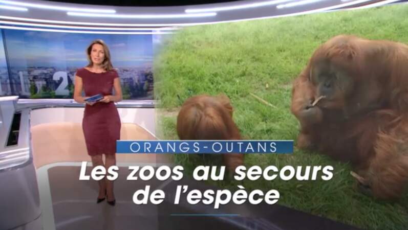 Anne-Claire Coudray au Journal de 20H le samedi 2 septembre 2017 sur TF1