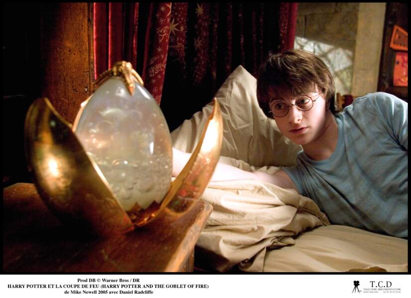 Harry Potter et la coupe de feu (2005)