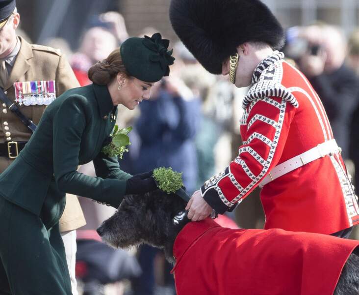 Kate Middleton fait connaissance avec Domhnall, la mascotte du 1er bataillon des Irish Guards.