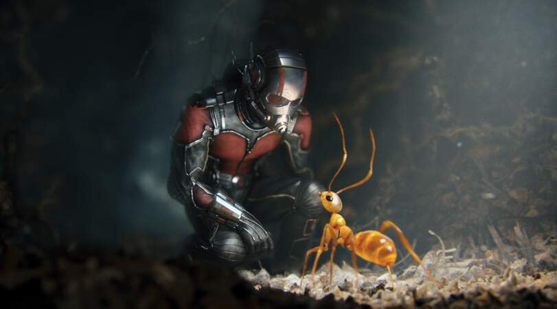 Ant-Man ou l'homme fourmis. Il fallait y penser. Ryan Reynolds l'incarne désormais à l'écran.