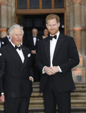 Le prince Charles et le prince Harry à l'avant-première de Our Planet, à Londres, le 4 avril 2019.