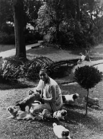 Josephine Baker et ses nombreux chiens