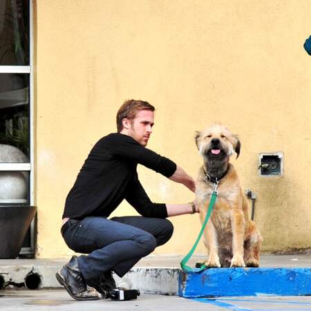 Ryan Gosling est de tous les combats dès qu'il s'agit d'animaux, ici avec George, "l'amour de sa vie"