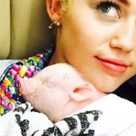 C'est une véritable ménagerie qu'héberge Miley Cyrus, tout est tellement plus simple auprès des animaux