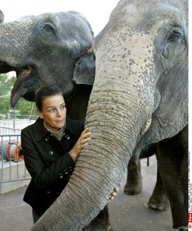 Stéphanie de Monaco avec des éléphants