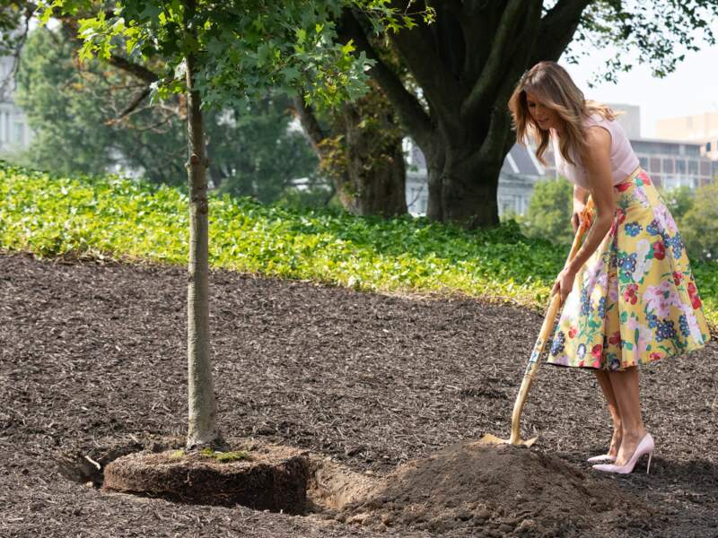 Melania plante un arbre en jupe fleurie Valentino et escarpins Louboutin, le 28 août 2018 à la Maison Blanche