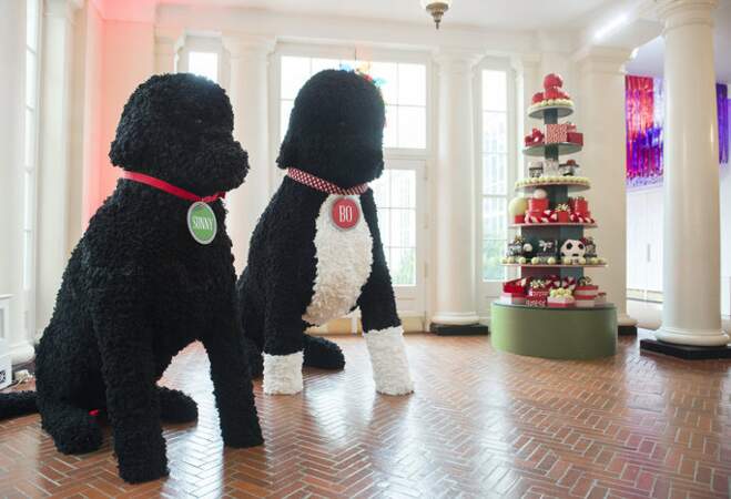 Des statues à l'effigie des deux chiens de la famille Obama 