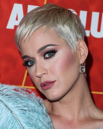 Katy Perry l'avoue elle-même, en période de stress, les boutons refont surface et ses pores se dilatent, help!
