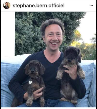 Stephane Bern et ses chiens