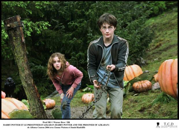 Harry Potter et le prisonnier d'Azkaban (2004)