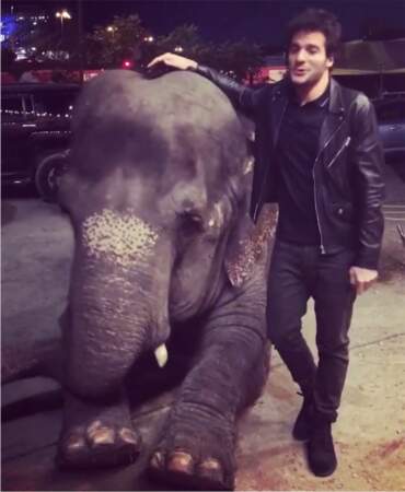 Amir et l'éléphant 