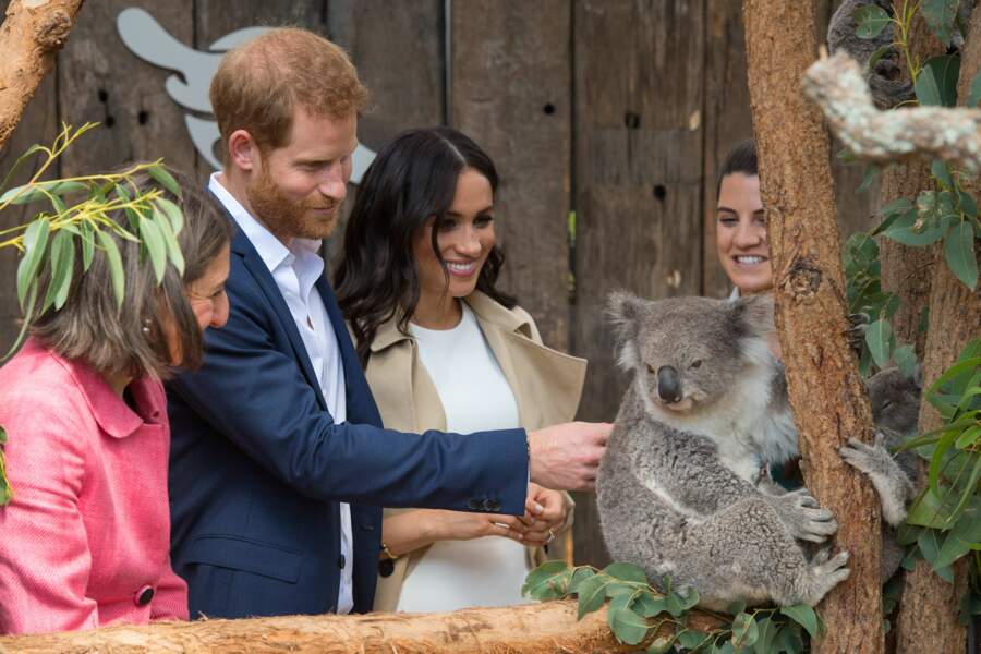 Le prince Harry et Meghan Markle, enceinte, au Zoo de Taronga, à Sydney, le 16 octobre 2018