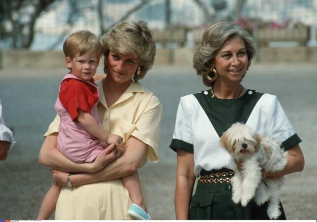 La Princesse Diana, le Prince Harry et la Reine Sophie d'Espagne en 1987