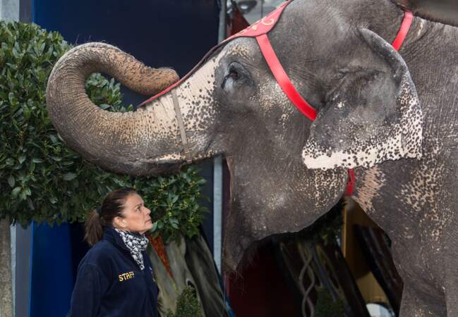 Stéphanie de Monaco et son éléphant