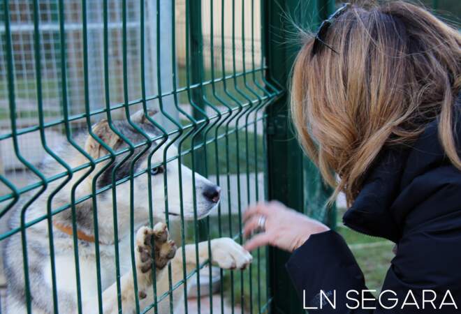Hélène Ségara, très câline envers les animaux rencontré à la SPA de Plaisir, le 28 janvier 2019