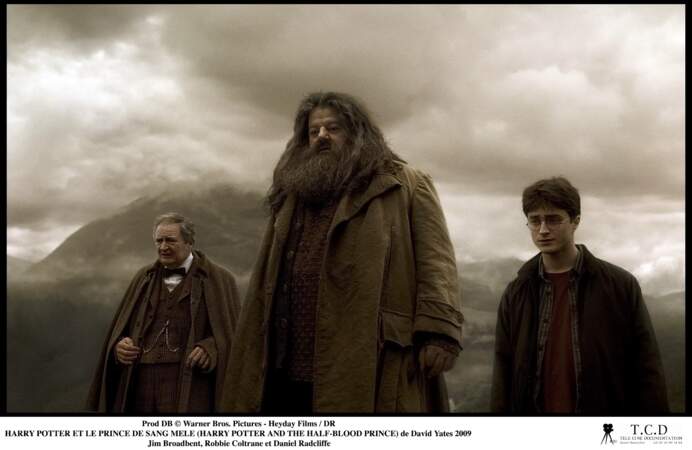 Harry Potter et le Prince de sang mélé (2009)