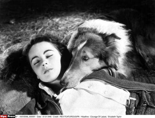 Lassie et Elizabeth Taylor