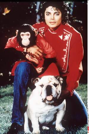 Michael Jackson avec son chimpanzé Bubbles, et un bulldog