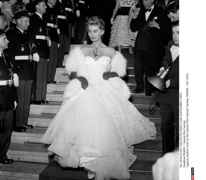Sophia Loren, Cannes 1955