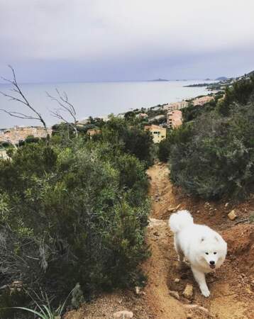 Promenade de santé pour Jon Snow en Corse