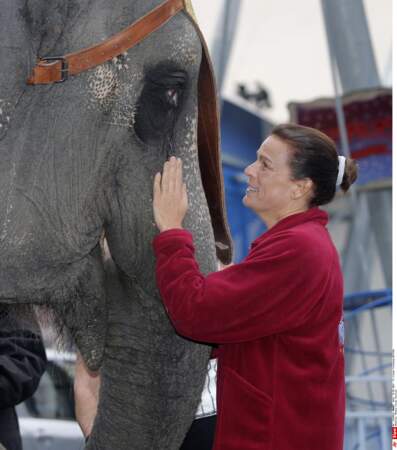 Stéphanie de Monaco s'épanouit auprès des ses éléphantes, sauvées de l'euthanasie, Baby et Népal