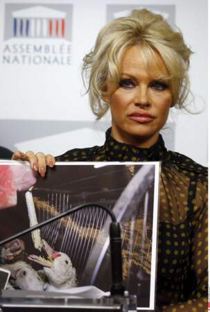 Pamela Anderson sûre d'elle  à l'Assemblée Nationale, présentait ses arguments contre le gavage des oies et canards
