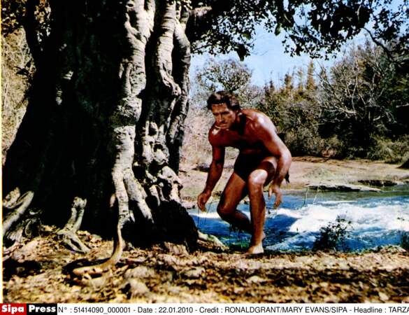 En 1962 pour Tarzan aux Indes, John Guillermin confie le rôle à Jock Mahoney