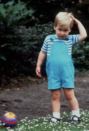 Est-ce le prince William ou Baby George?