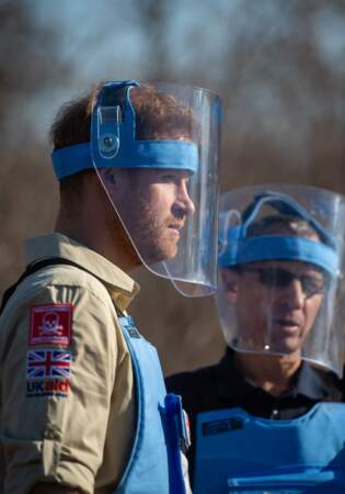 Le prince Harry porte un casque de protection lors d'une visite 
