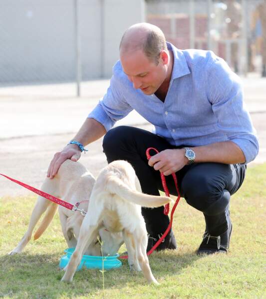 Le prince William avec un chien d'identification des explosifs